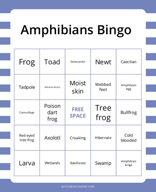 Amphibians Bingo