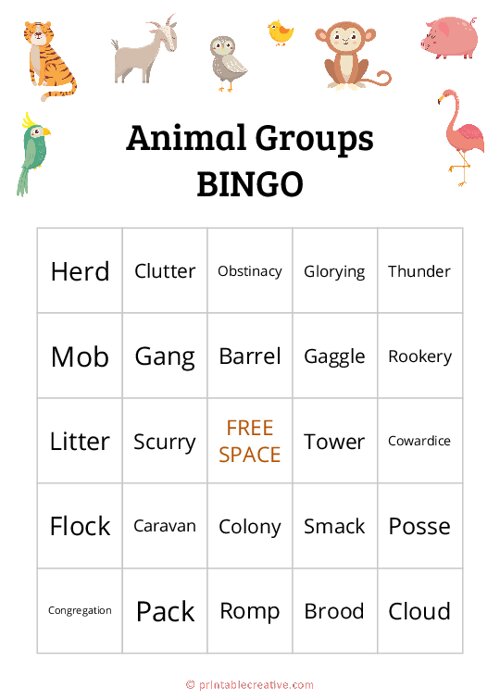 Animal Groups|BINGO