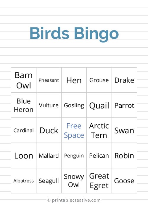 Birds Bingo