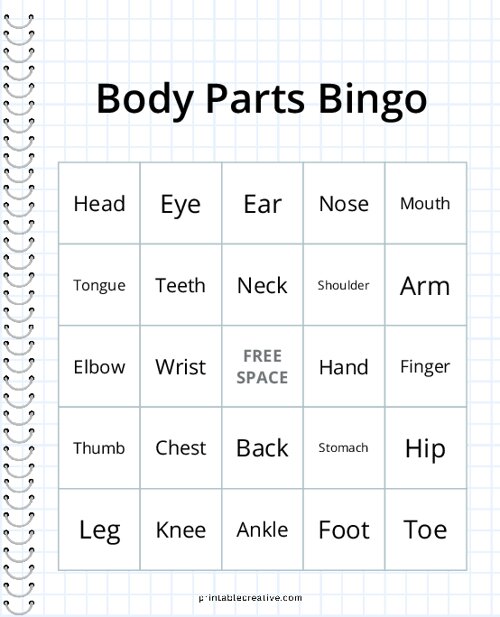 Body Parts Bingo