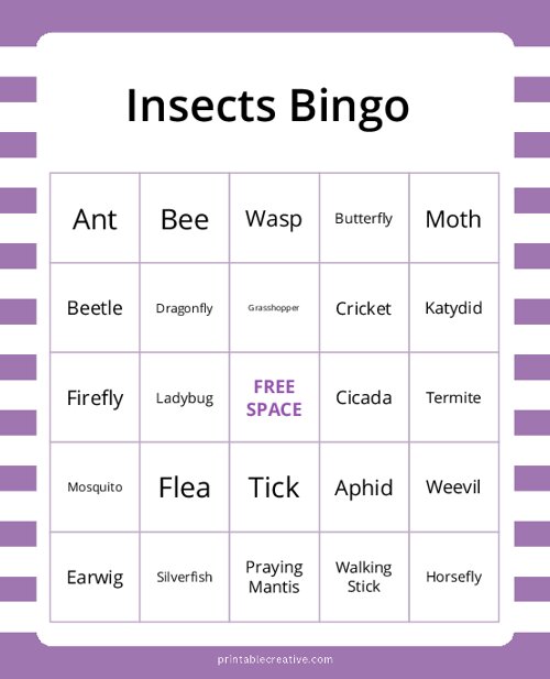 Insects Bingo