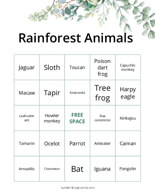 Rainforest Animals