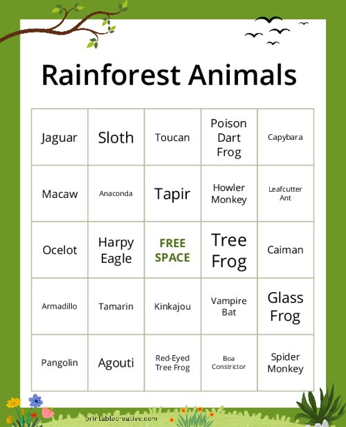 Rainforest Animals Bingo