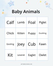 Baby Animals Bingo