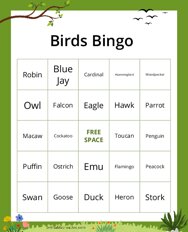 Birds Bingo