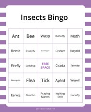 Insects Bingo