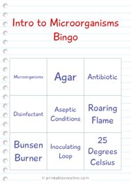 Intro to Microorganisms | Bingo