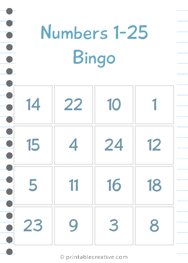 Numbers 1-25 Bingo