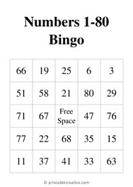 Numbers 1-80 Bingo