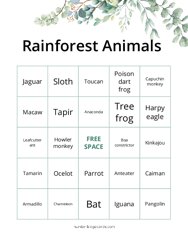 Rainforest Animals