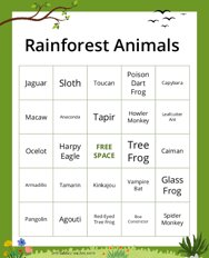 Rainforest Animals Bingo