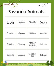 Savanna Animals Bingo
