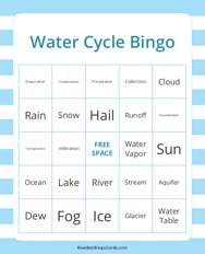 Water Cycle Bingo