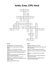 Ankle, Knee, CPR, Hand Crossword Puzzle