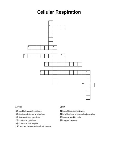 Cellular Respiration Crossword Puzzle