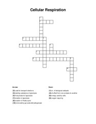 Cellular Respiration Crossword Puzzle