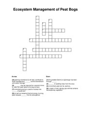 Ecosystem Management of Peat Bogs Word Scramble Puzzle