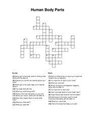 Human Body Parts Crossword Puzzle