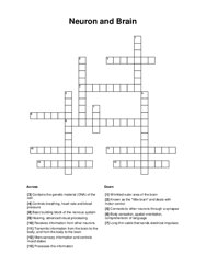 Neuron and Brain Crossword Puzzle