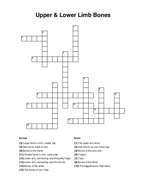Upper & Lower Limb Bones Crossword Puzzle