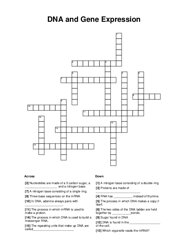 DNA and Gene Expression Crossword Puzzle