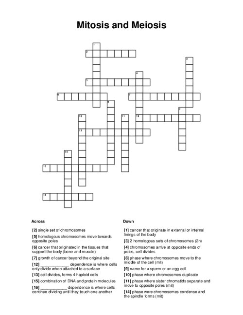 Mitosis And Meiosis Crossword