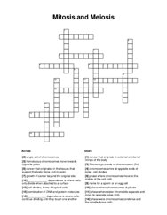 Mitosis and Meiosis Crossword Puzzle