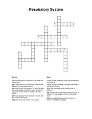 Respiratory System Crossword Puzzle