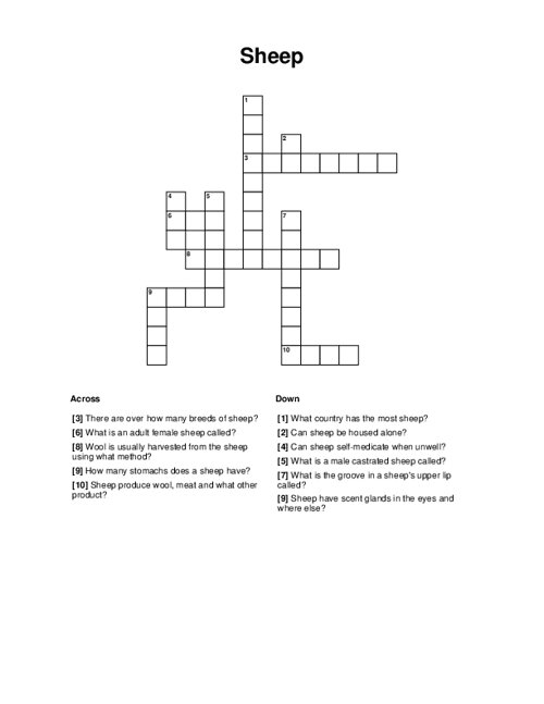 Sheep Crossword Puzzle