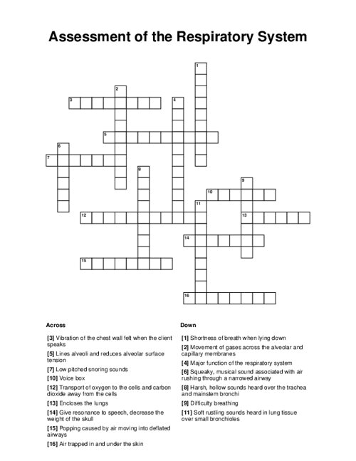 Assessment of the Respiratory System Crossword Puzzle