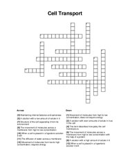 Cell Transport Crossword Puzzle