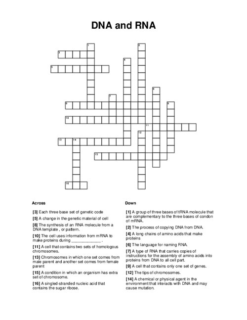 DNA and RNA Crossword Puzzle