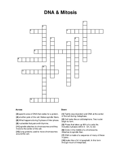 DNA & Mitosis Crossword Puzzle