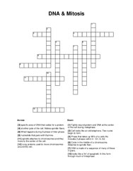 DNA & Mitosis Crossword Puzzle