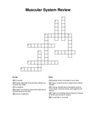 Muscular System Review Crossword Puzzle