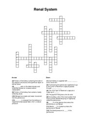 Renal System Crossword Puzzle