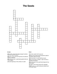 The Seeds Crossword Puzzle