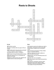 Roots to Shoots Crossword Puzzle