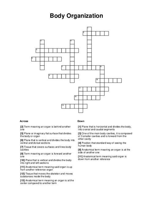 Body Organization Crossword Puzzle