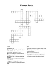Flower Parts Crossword Puzzle