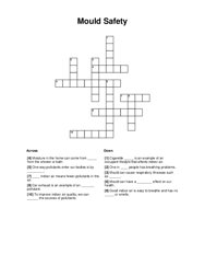 Mould Safety Word Scramble Puzzle