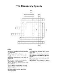 The Circulatory System Crossword Puzzle