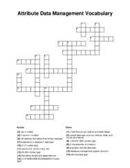 Attribute Data Management Vocabulary Crossword Puzzle