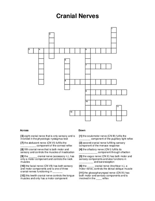Cranial Nerves Crossword Puzzle