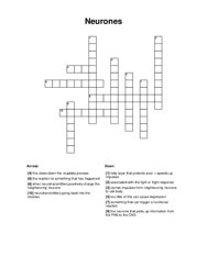 Neurones Crossword Puzzle
