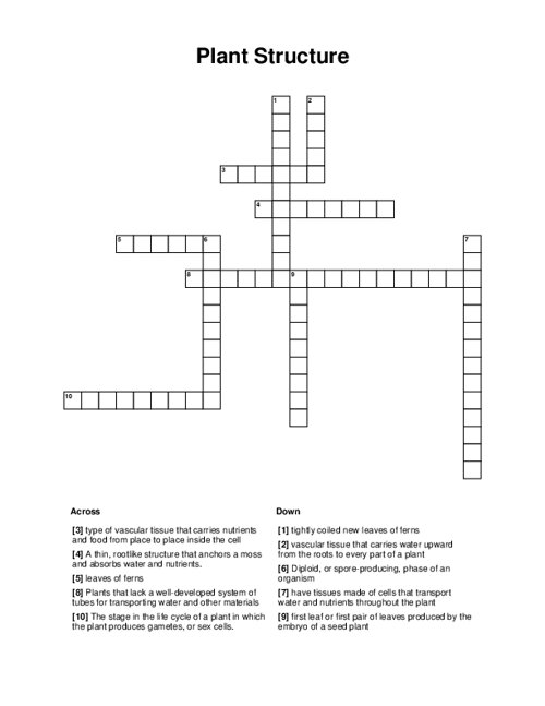 Plant Structure Crossword Puzzle