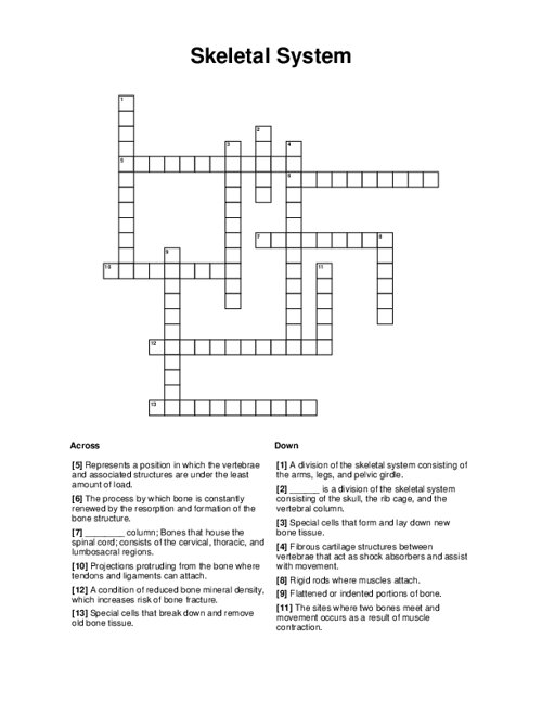 Skeletal System Crossword Puzzle