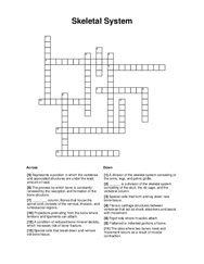 Skeletal System Crossword Puzzle