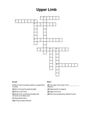 Upper Limb Crossword Puzzle