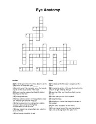 Eye Anatomy Crossword Puzzle